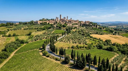 Aerial view of a medieval Tuscan hilltop town surrounded by cypress trees and rolling vineyards under bright Mediterranean sunlight